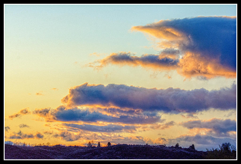 _DSC0994-Edit.jpg