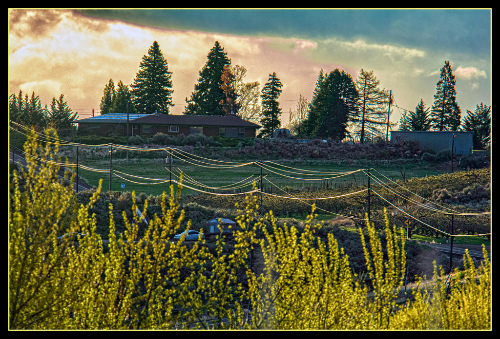 _DSC1087-Edit.jpg