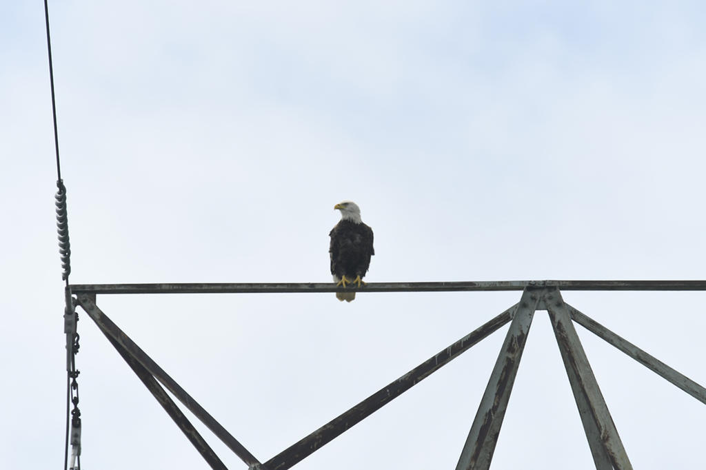 _DSC1200 low res.jpg