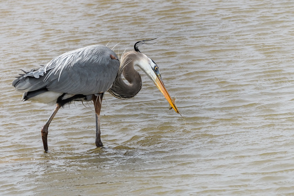 _DSC1225-Edit.jpg