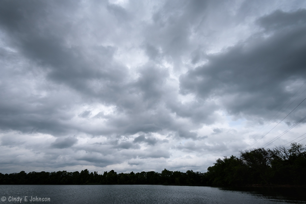 _DSC1277 low res.jpg