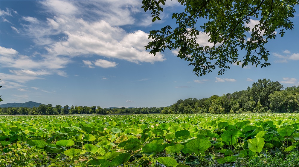 _DSC1304-Edit.jpg
