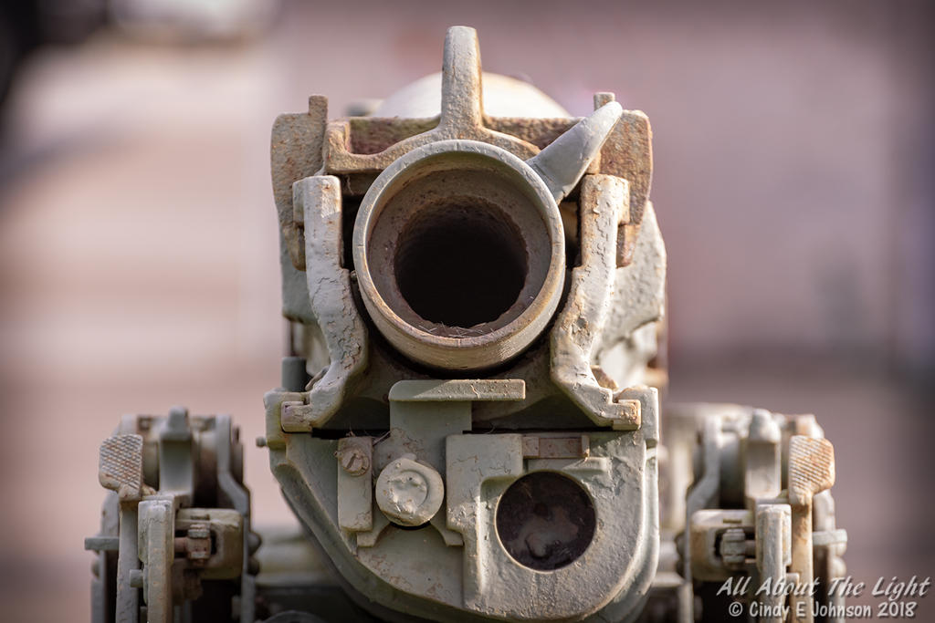 _DSC1351 low res.jpg