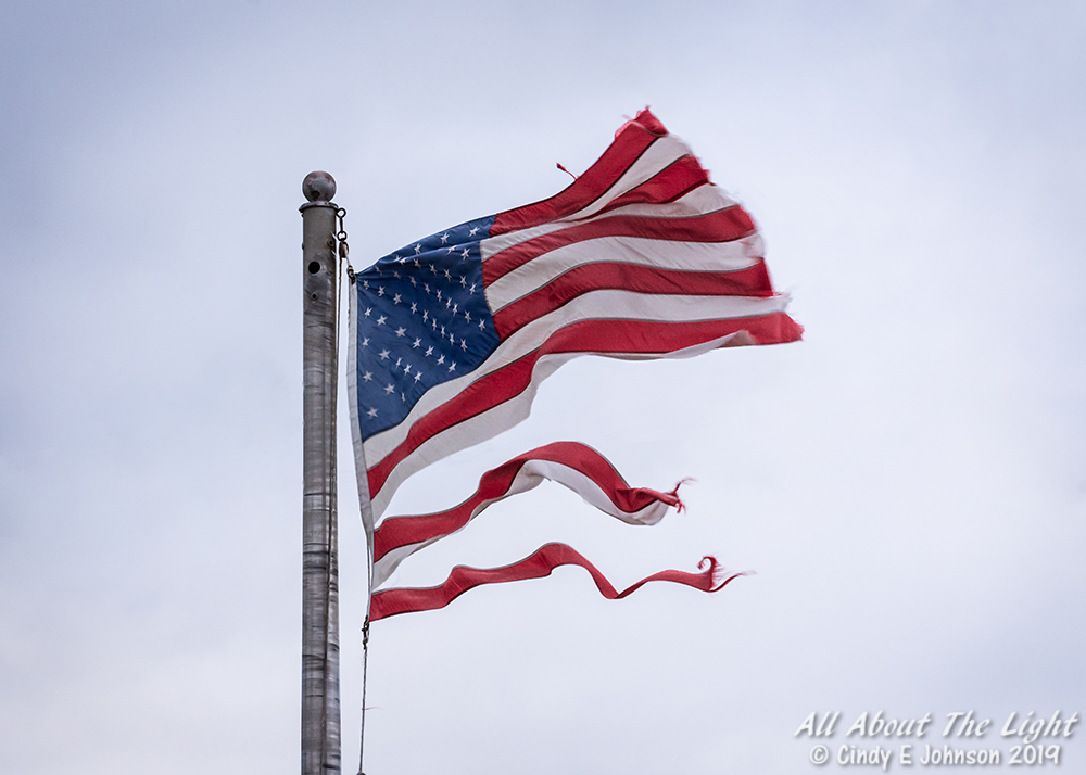 _DSC1436 low res.jpg