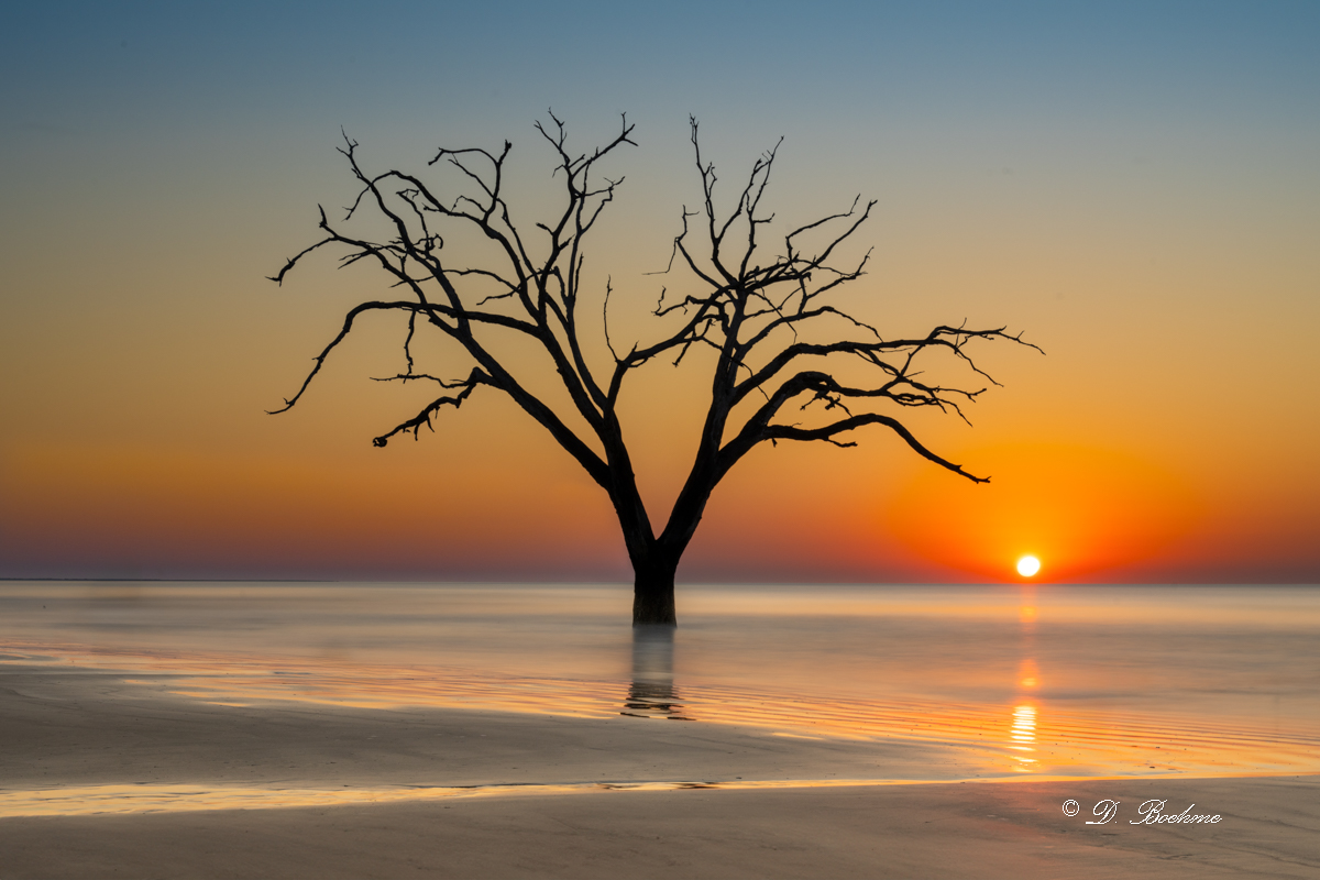 _DSC1465-4-2.jpg