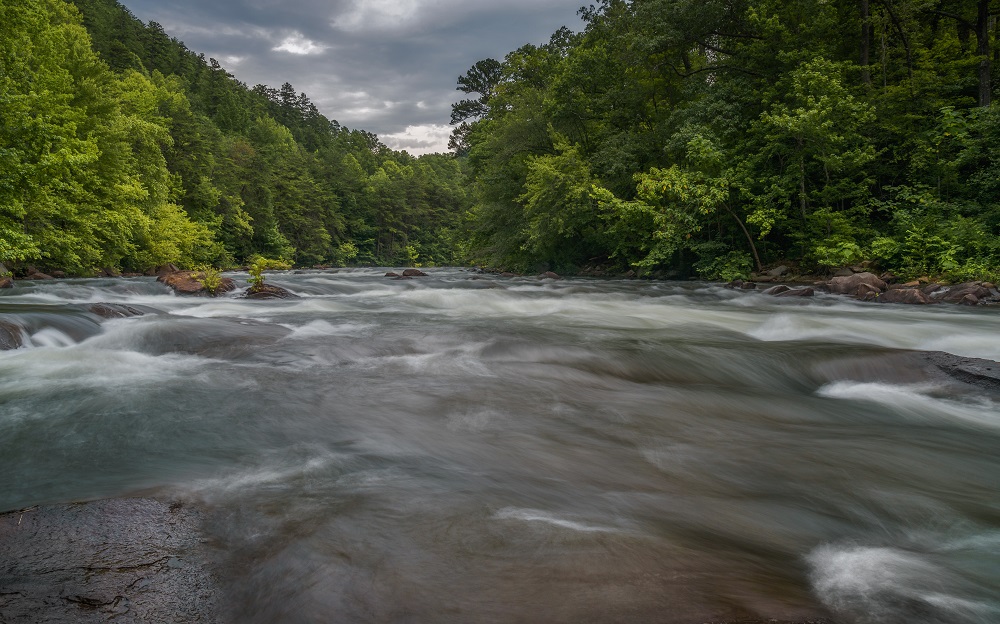 _DSC1467-Edit-2.jpg