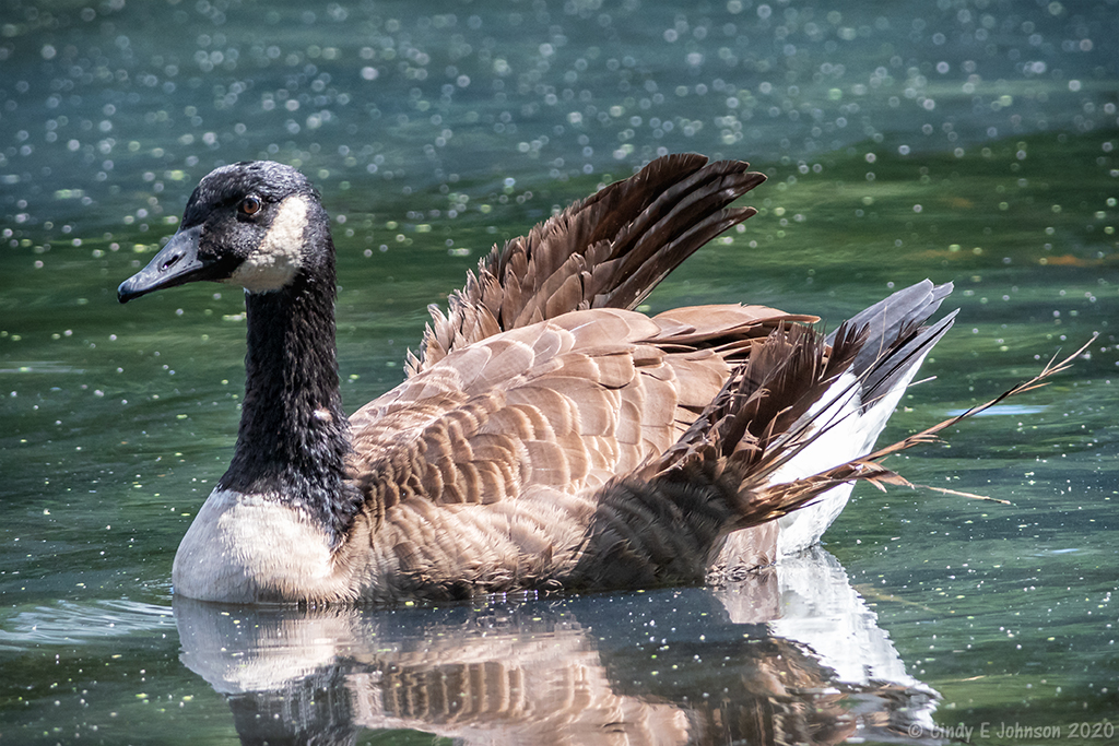 _DSC1470 - Copy low res.jpg _DSC1470 - Copy low res.jpg