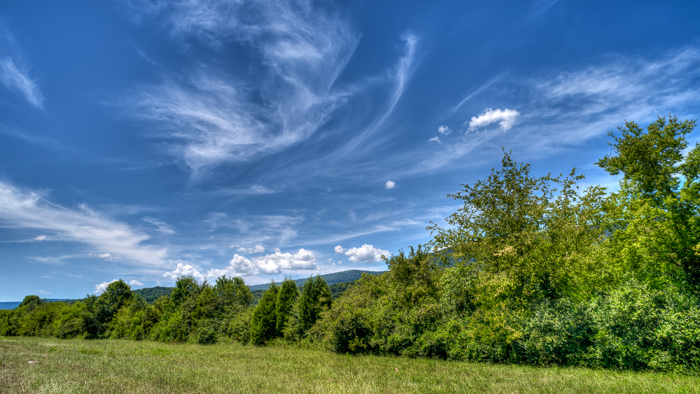 _DSC1471-Edit-2.jpg
