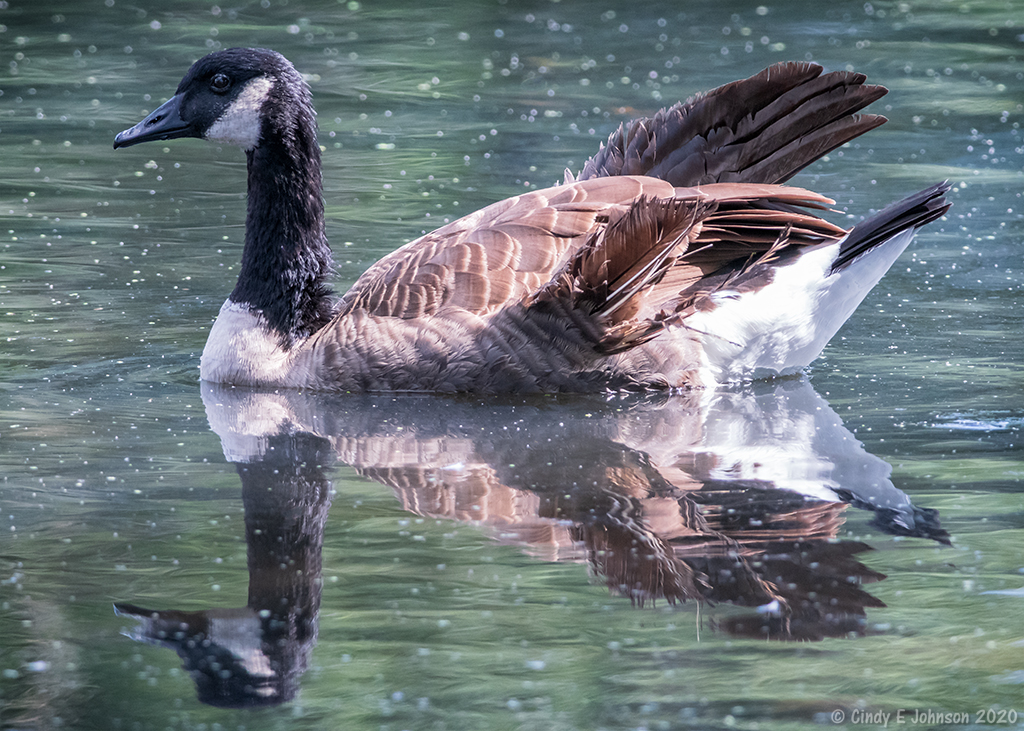 _DSC1474 low res.jpg _DSC1474 low res.jpg