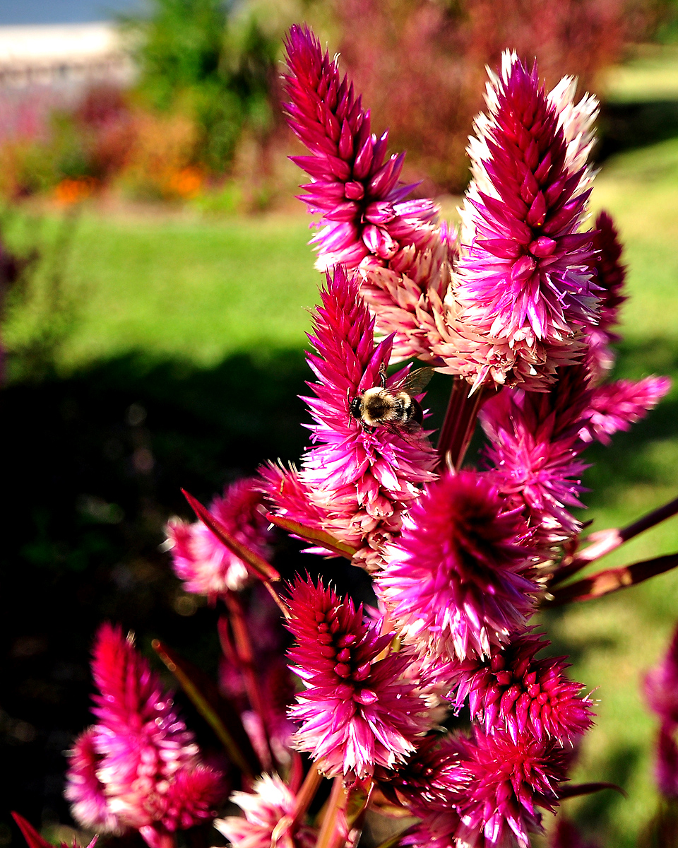 _DSC1498-1096084052-O.jpg