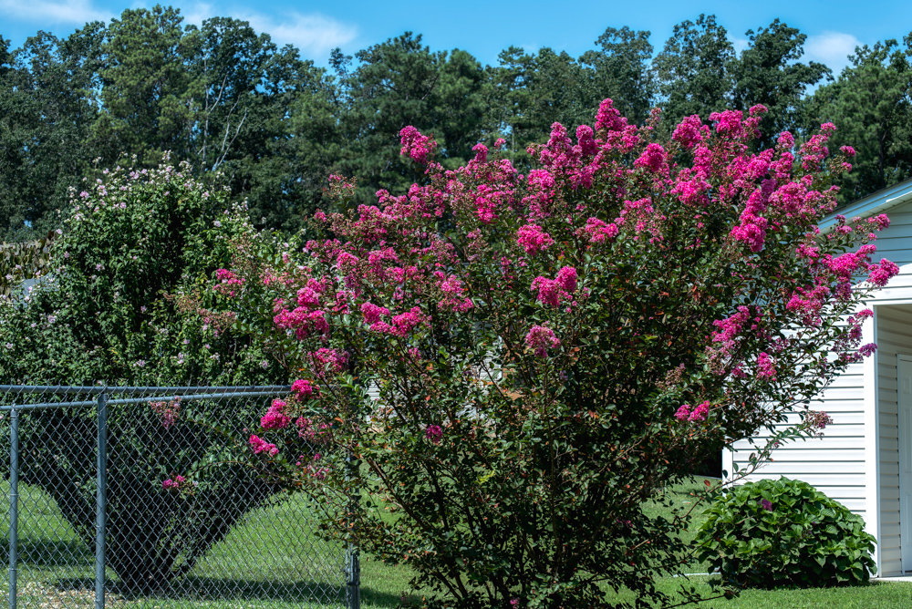 _DSC1502-Edit.jpg
