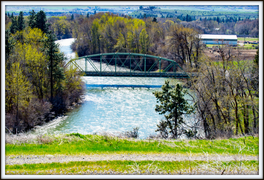 _DSC1506.jpg