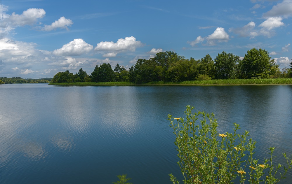 _DSC1522-Edit.jpg