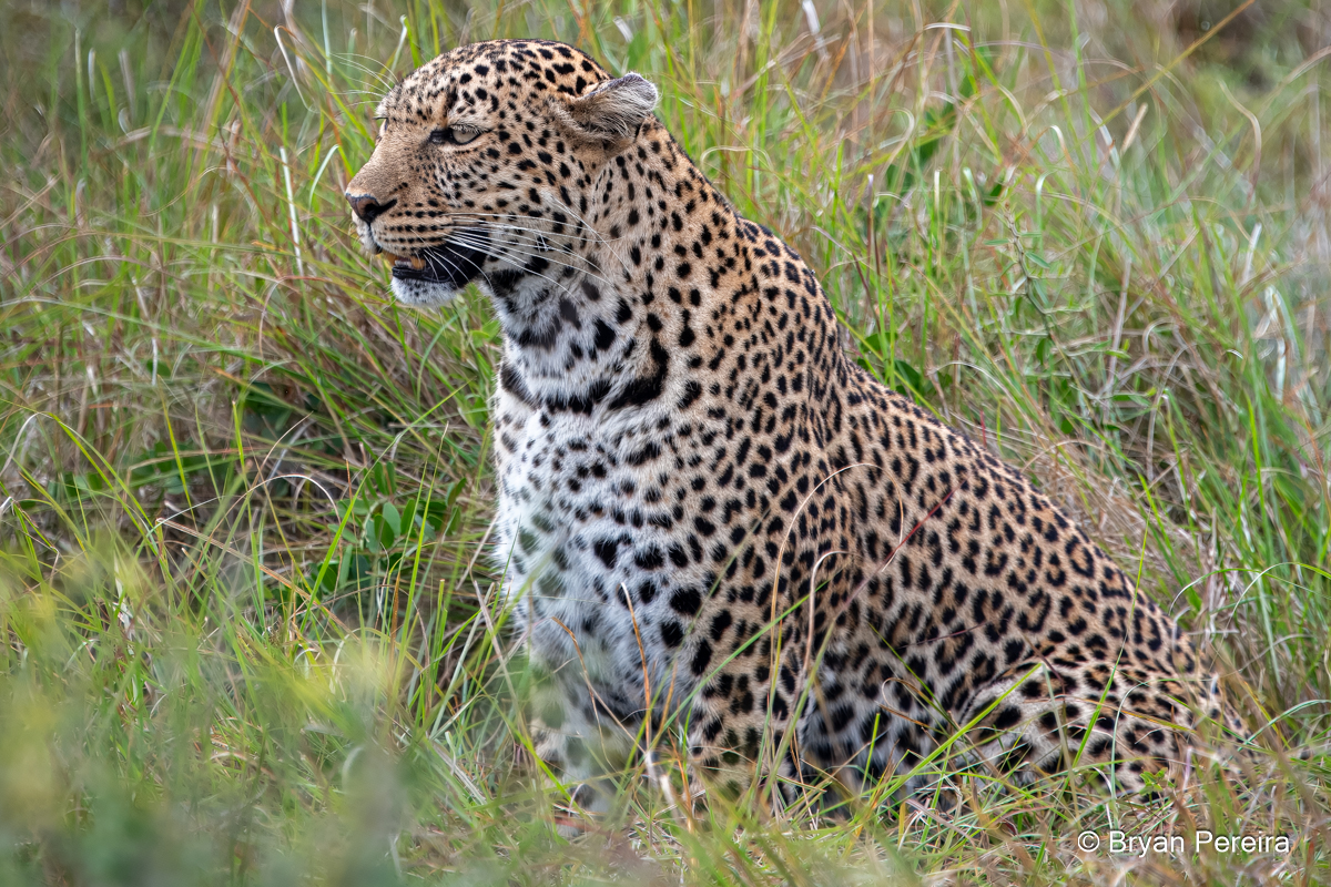 _DSC1523_BP.JPG