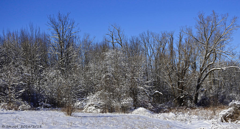 _DSC1550.jpg
