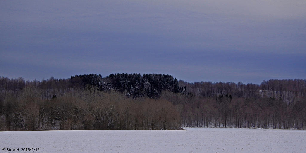 _DSC1553.jpg