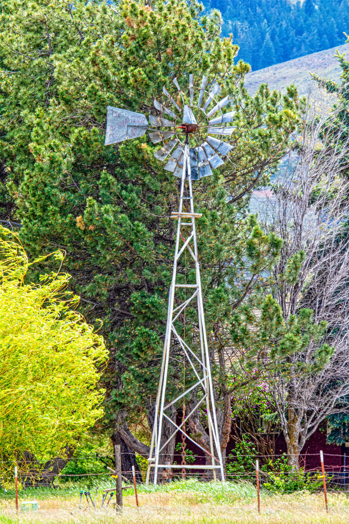_DSC1554-Edit.jpg