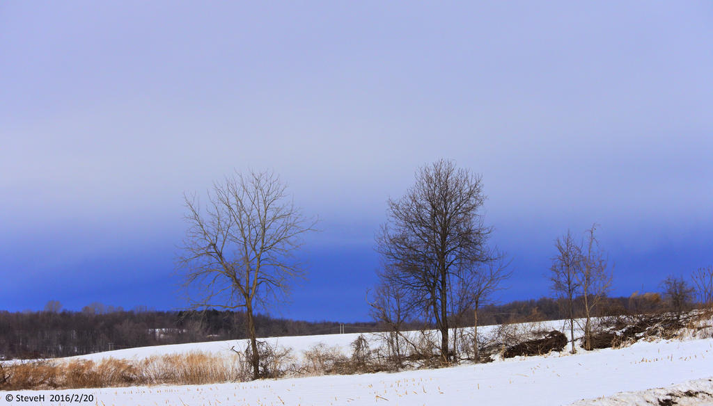 _DSC1559.jpg