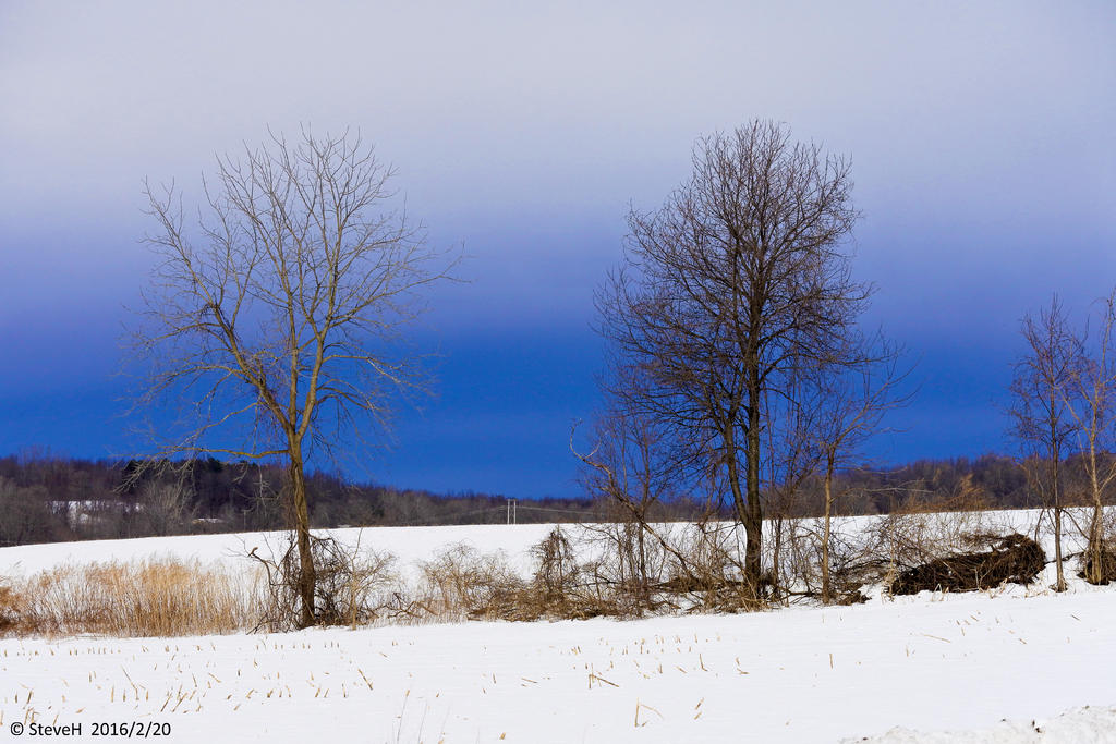 _DSC1560.jpg