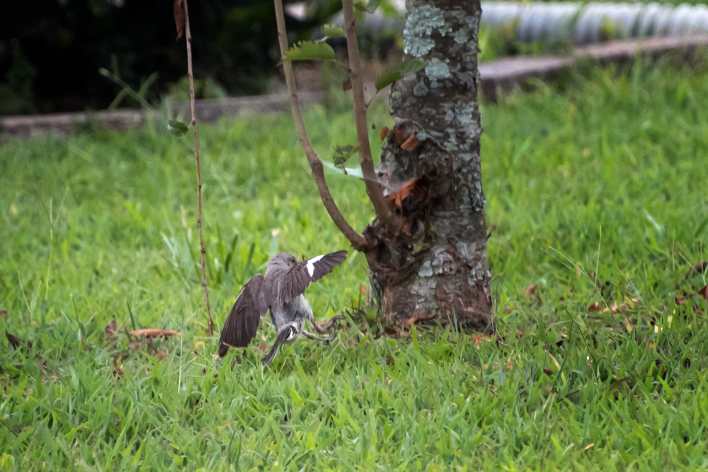 _DSC1574-Edit.jpg