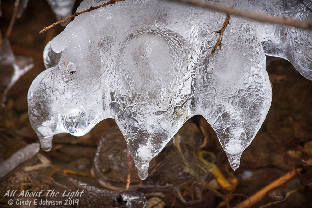 _DSC1584 low res.jpg