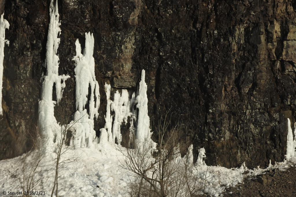 _DSC1586.jpg