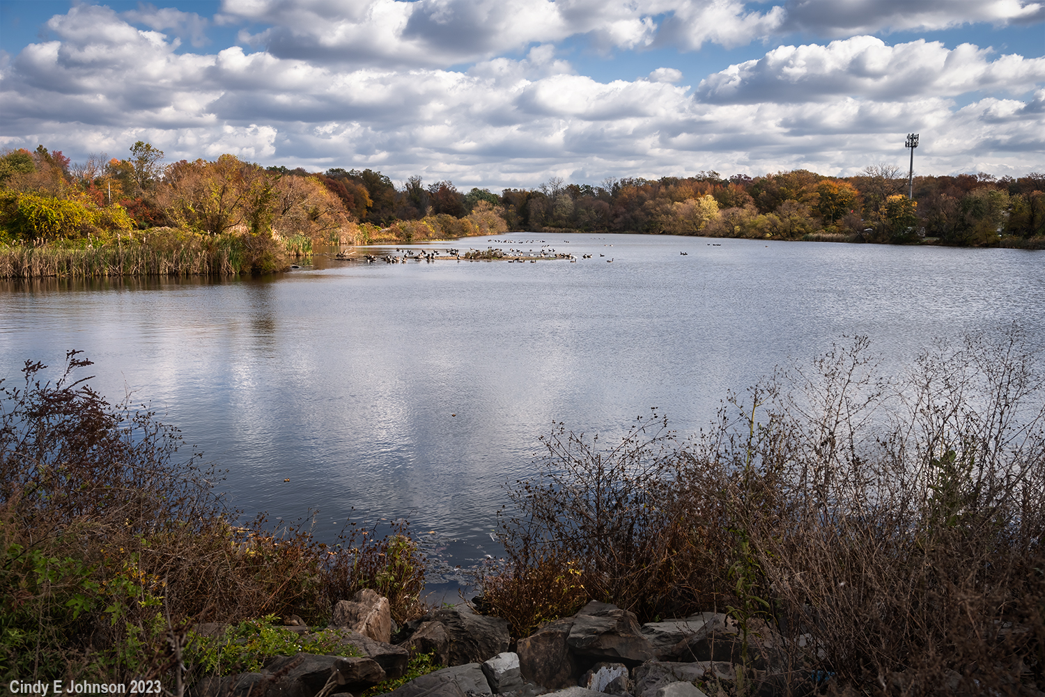 _DSC1600 low res.jpg