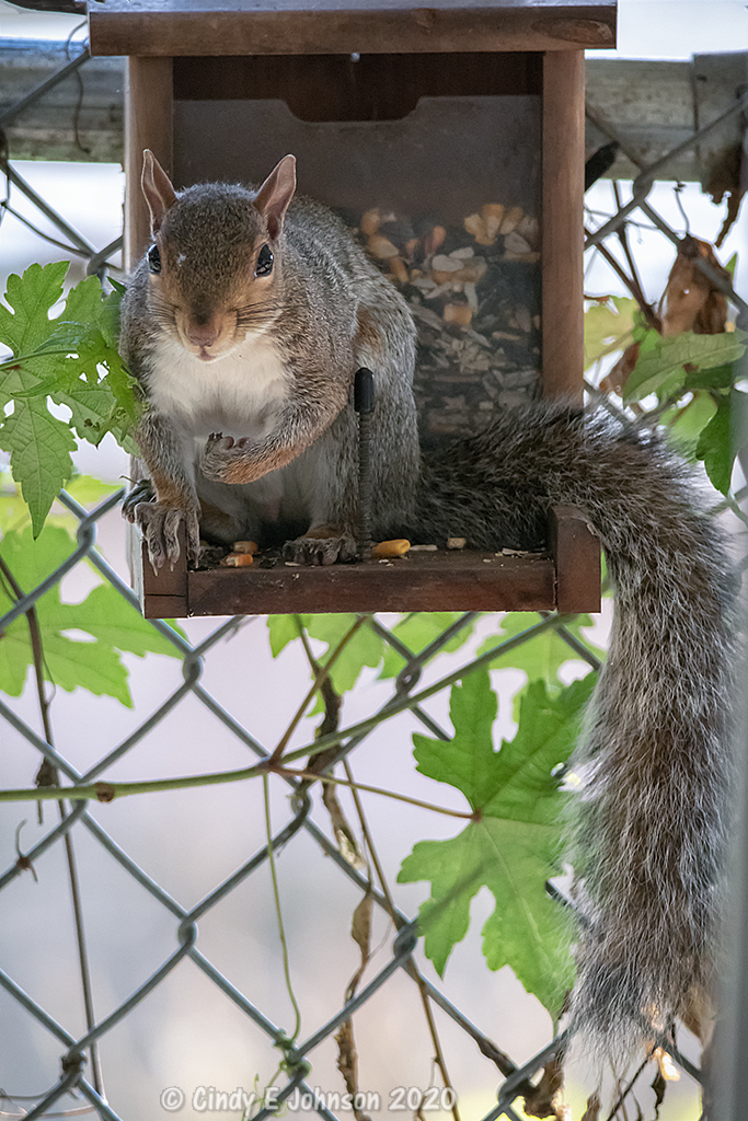 _DSC1708 low res - Copy.jpg