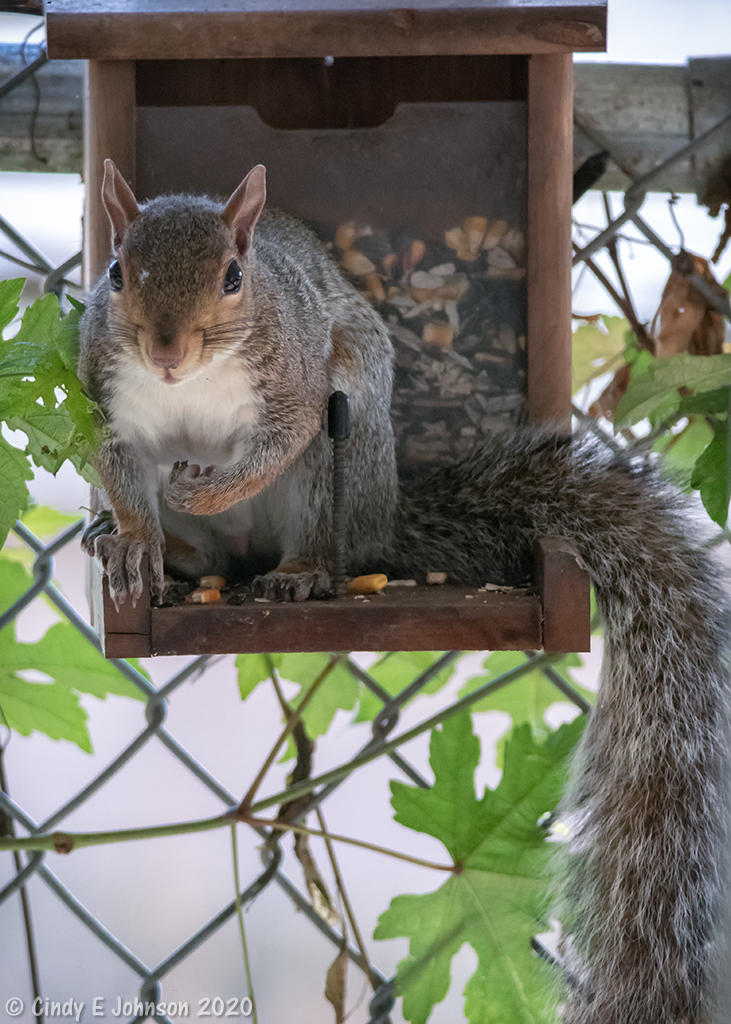 _DSC1708 low res.jpg