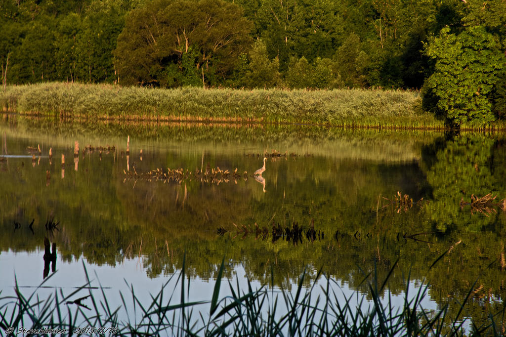 _DSC1747.jpg