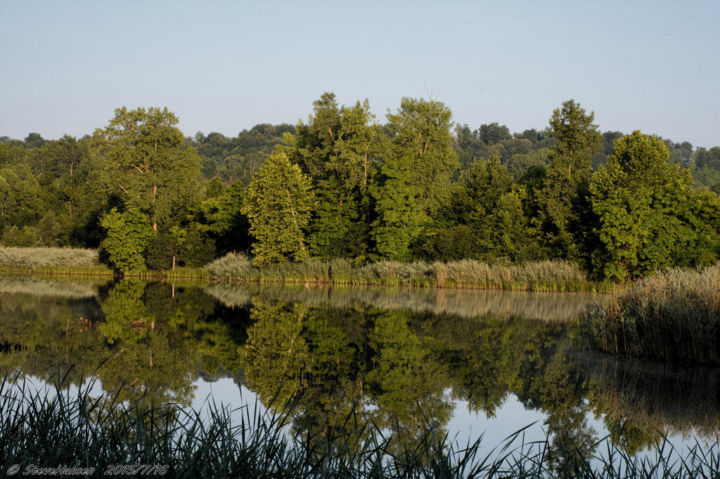 _DSC1748.jpg