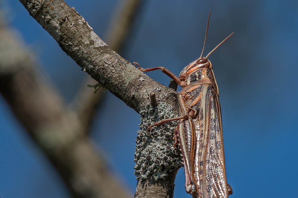 _DSC1819-Edit.jpg
