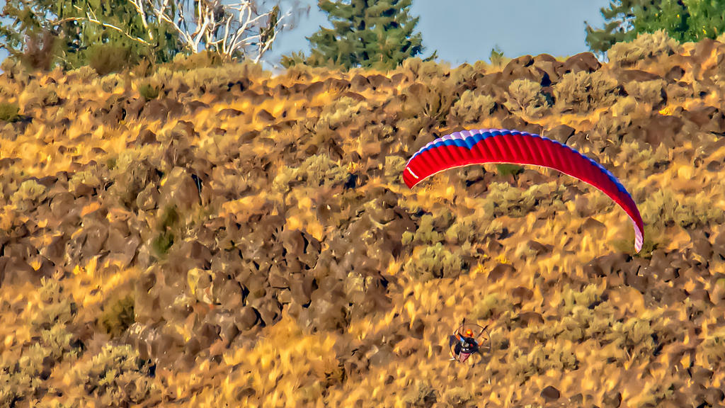 _DSC1846-Edit.jpg
