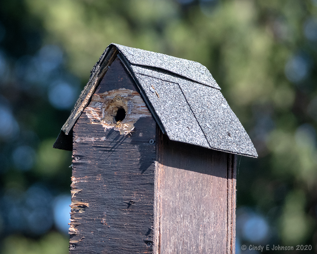 _DSC1936 low res.jpg