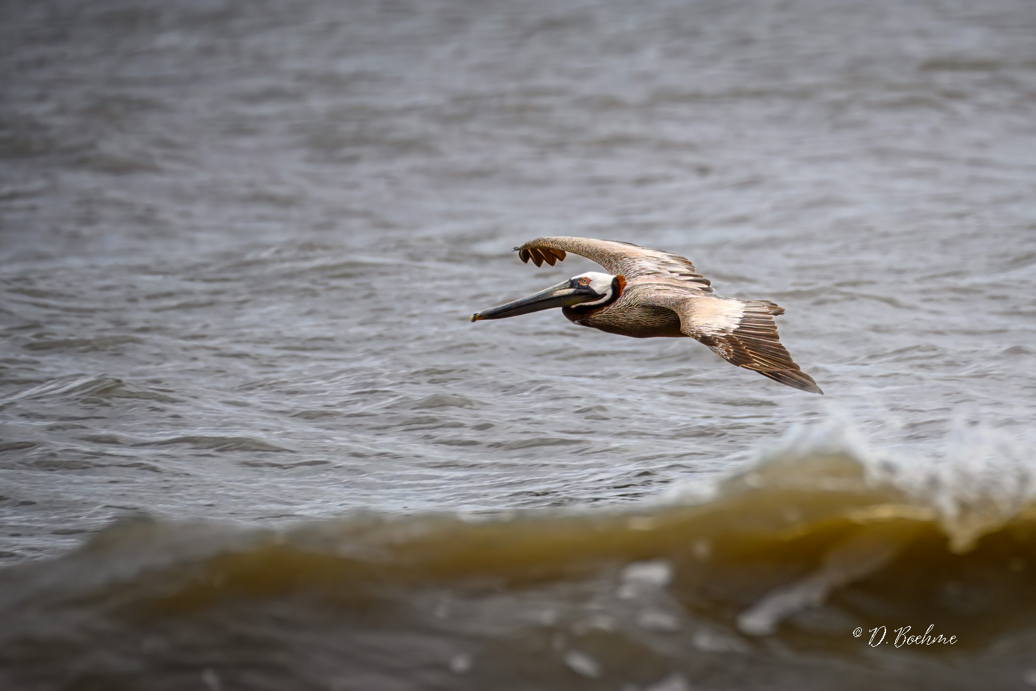 _DSC1976-topaz-denoiseraw-sharpen.jpg