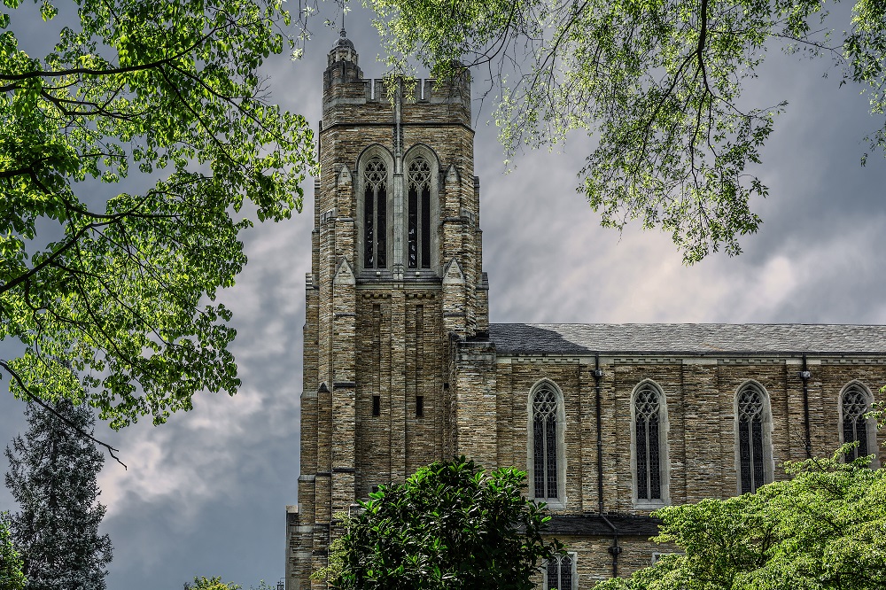 _DSC1981-Edit.jpg