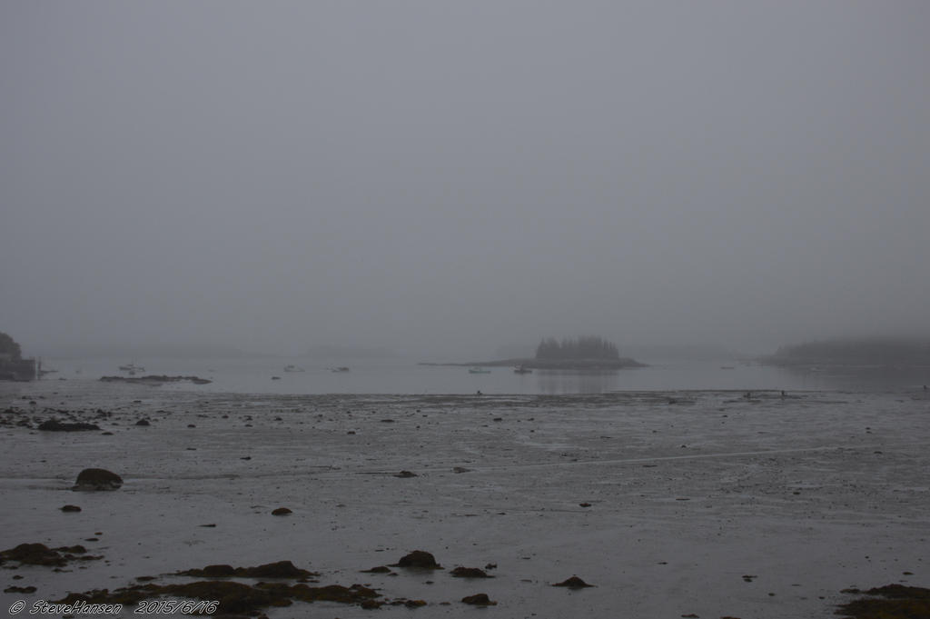_DSC2000.jpg
