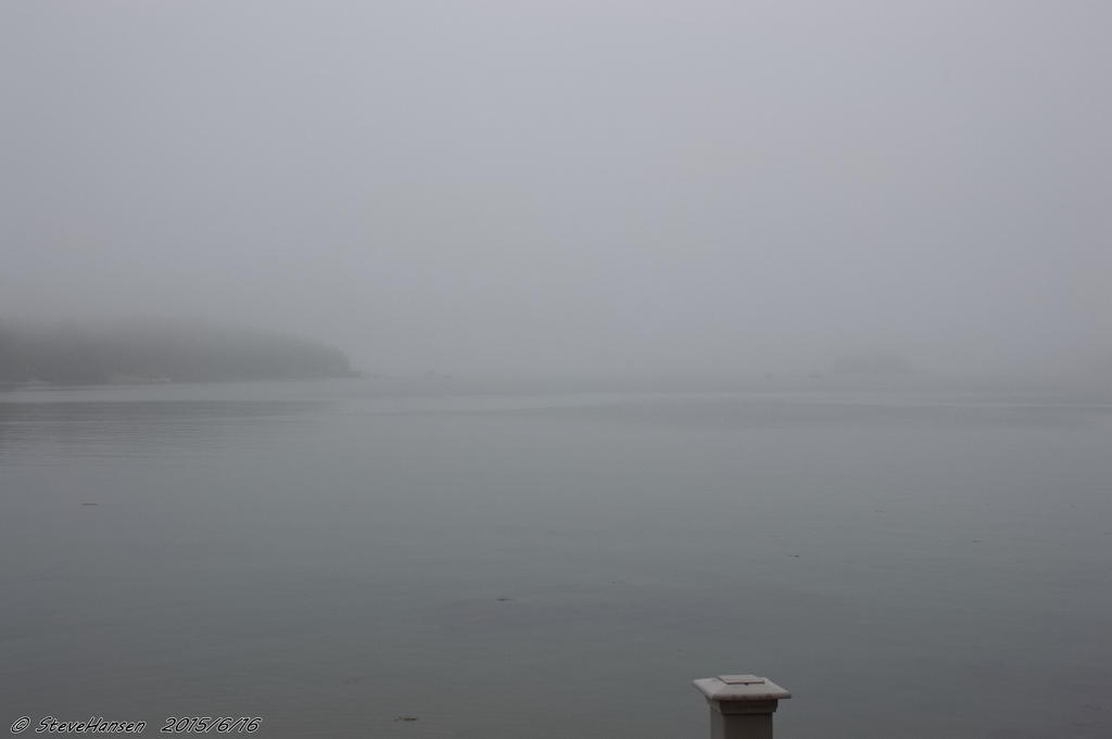 _DSC2006.jpg