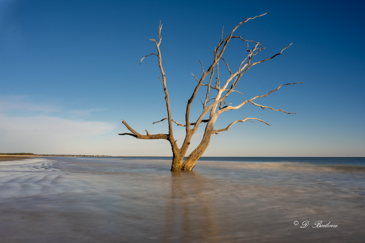 _DSC2019-2-2.jpg