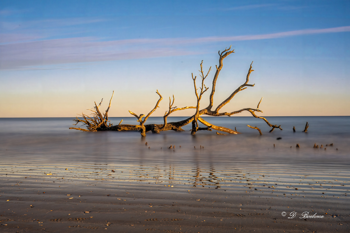 _DSC2108-topaz-rawdenoise-sharpen.jpg