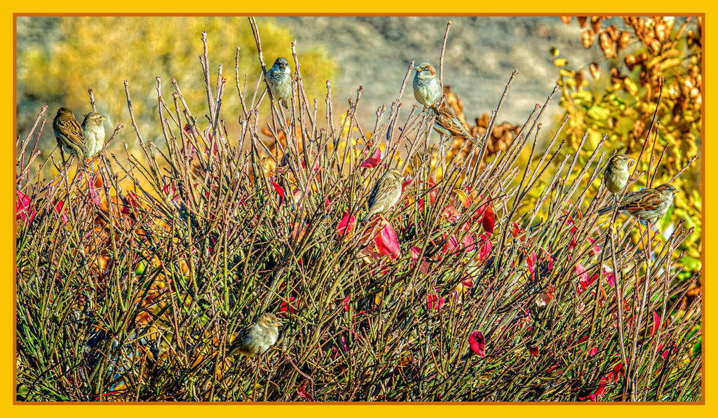 _DSC2202-Edit.jpg