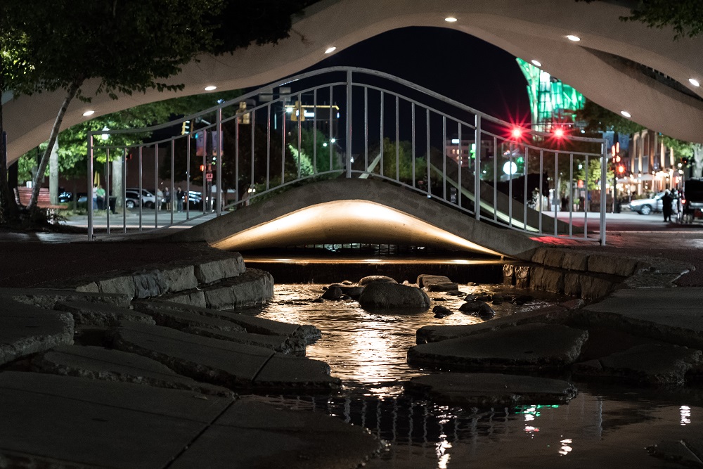 _DSC2220-Edit.jpg