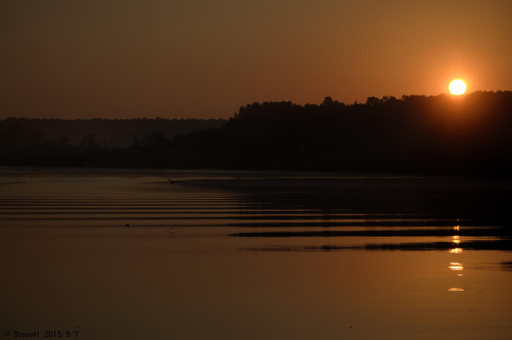 _DSC2253.jpg