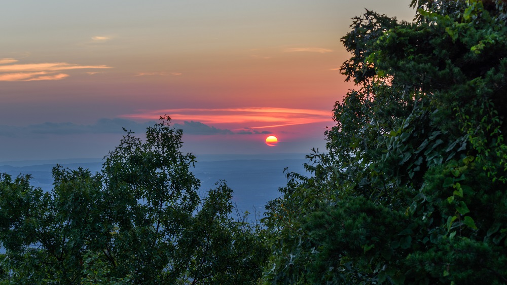 _DSC2260-Edit.jpg