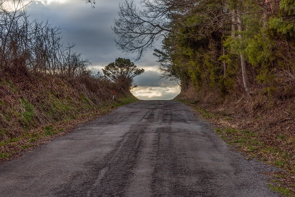 _DSC2312-Edit-2.jpg
