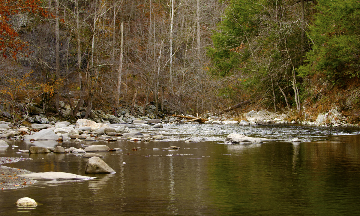 _DSC2376.jpg
