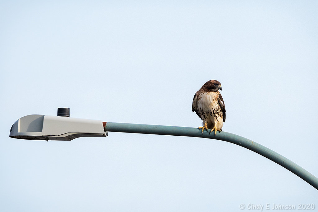 _DSC2404 low res.jpg