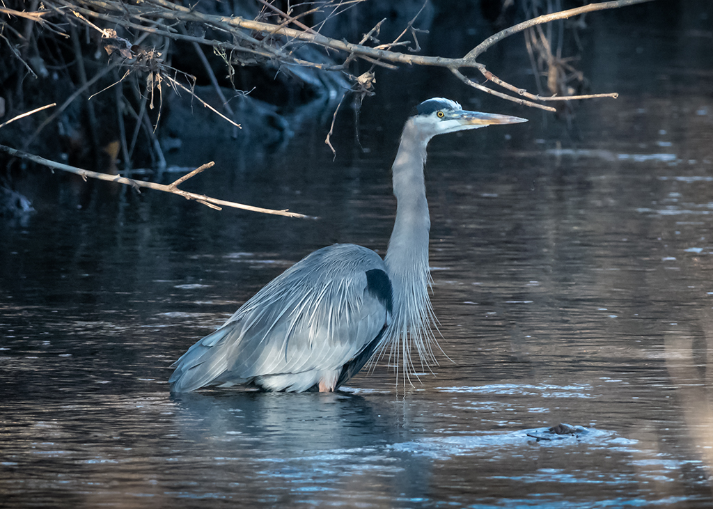 _DSC2423 low res monochromatic.jpg