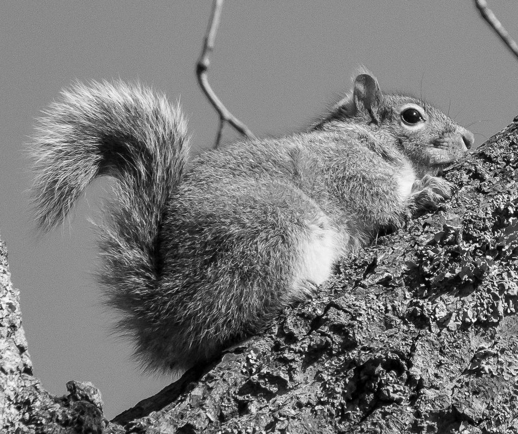 _DSC2606.jpg