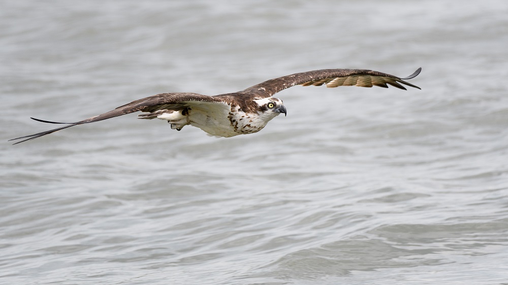 _DSC2709-Edit.jpg